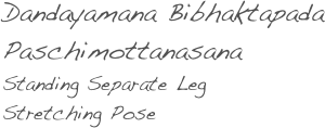Dandayamana Bibhaktapada Paschimottanasana
Standing Separate Leg 
Stretching Pose
