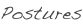shapeimage_13_link_0